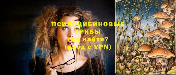 стафф Абдулино