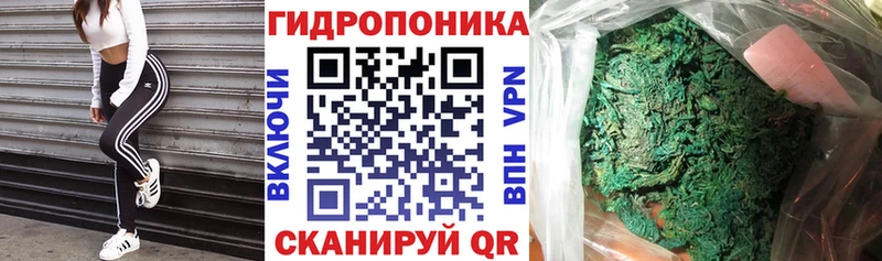 как найти закладки  Электроугли  Канабис тримм 